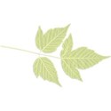 Branch Right