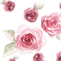 roses bg