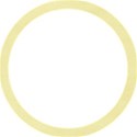 shape__0004_Calque-0-copie-6