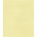 shape__0005_Calque-23