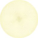 shape__0007_Calque-0-copie-5