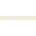 shape__0015_Calque-25