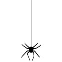 spider1