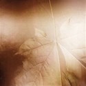 Background 4c