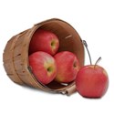 apple basket