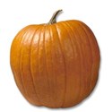 pumpkin 1