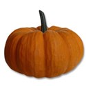 pumpkin 2