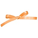 ribbon bow 1