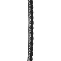 Black Lace 01