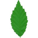 Leaf 03