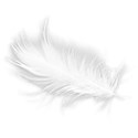 White Feather 01