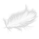 White Feather 02