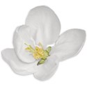 White Flower  Sticker 02