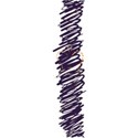 crown purple scribbles