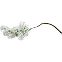White Lilac Sticker 03