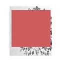 Damask Frame 01
