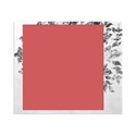 Damask Frame 04