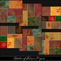 Stitches of Autumn Papers Cover