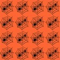 spiderweb