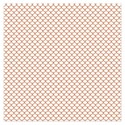 pp6