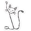 cat6sh