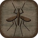 mosquito