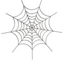 spiderweb