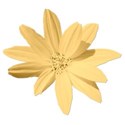 floweryellow