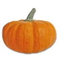 pumpkin 2