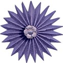 flower 6
