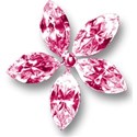 jewel flower pink