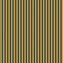 PP8_orange_mikki