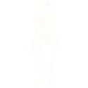 SKELETON (Semi-Transparent WHITE)