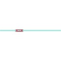 sunglasses-buckle-mikki