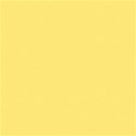 YELLOWsolid_mikki