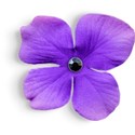 Flower 02