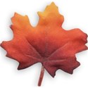 Leaf 01
