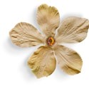 Flower 03