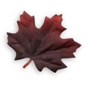 Leaf 04