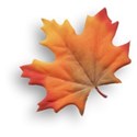 Leaf 05