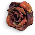 Rose 02