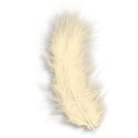 Feather 01