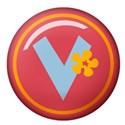 V_mikki