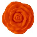 flowerorange