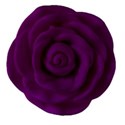 flowerpurple