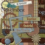 365 November