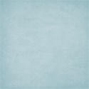 lisaminor_joyfuljoyful_paper_c