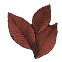 Leaves05