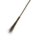 witch broom