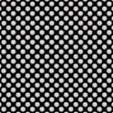 paper 8